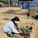 화도농장 이미지