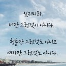 오늘 이미지