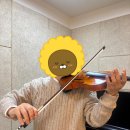 바이올린 1:1 레슨 이미지