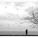 Sailing - Rod Stewart等 주옥같은 FM 골든 디스크... 이미지