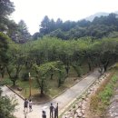 법기수원지 이미지