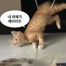 에프(F)45 광교 | 프사오 F45 광교 헬스장 | 일주일 체험 기록 다이어트에 좋은 그룹운동