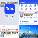 트립인(Trip inn) 네이버블로그
