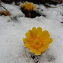 찬물내기 이미지