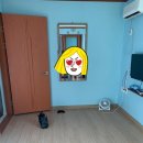필레오펜션