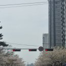 (주)신도컴퓨터 | 4月 - 2 / 엄마가유령이되었어!👻, 이유식기 고민🥄, 참외의 계절, 새로운 애칭 칸쵸🧸, 반찬공장 가동...