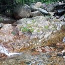 청학동식당 이미지