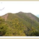 봉동참숯찜질방 이미지