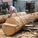 추어마을 이미지