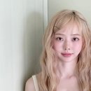 비비 헤어 이미지