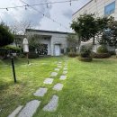 보릿골로 이미지