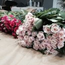 화훼장식기능사 이미지