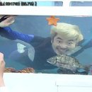 아쿠아가든카페 - 양주시 천보산로5번길 3 | 아쿠아가든카페