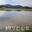 중등포