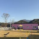 핑크애견하우스 | 단양 세모하우스 애견펜션: 반려견과 함께하는 힐링 여행의 완벽한 선택