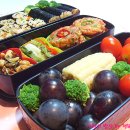 오늘은꼬마김밥 이미지