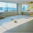 광안사계스테이 이미지