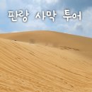 운성목장 | 나트랑 근교 여행 판랑 사막 투어 생생 후기! Feat. 양떼목장, 포롱자라이, 항라이 해변