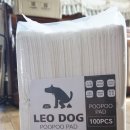 푸푸독 | 강아지 배변패드 LEO DOG (레오독) 푸푸패드 후기 ♪