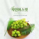 샤인스토리 이미지