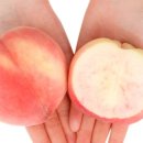 경봉마트 이미지