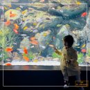 (주)롯데월드 아쿠아리움 이미지