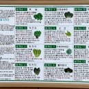 제주유기농쌈밥촌(본점) 이미지