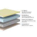 아르지오디바니 이미지