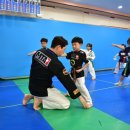 그린태권도 이미지