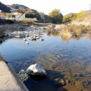 전원생활공인중개사사무소 이미지