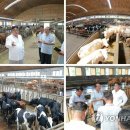 평남목장 이미지