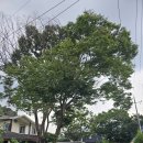 노일리 경로당 이미지