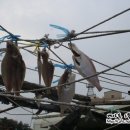 24번횟집 - 남구 장생포고래로 318 | 24번횟집