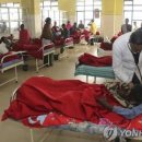 고라농장 이미지