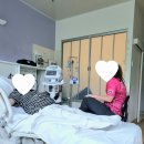 타운스빌 | 호주 타운즈빌 공립병원 출산 후기