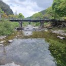 계곡소리펜션 이미지