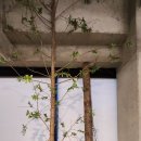 🌿 Forest Heritage 포레스트 헤리티지 – 화원읍 대형 베이커리 카페 후기 🍞☕