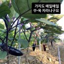 동락원 - 안성시 죽주로 231 | 동락원