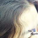 샾비아이앤 이미지