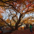 세천 공중화장실 이미지