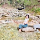 백담 새소리 펜션 | 강원도 계곡 앞 펜션 백담새소리펜션 애견 인제 감성 숙소