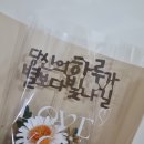 용매토퍼 이미지