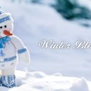 윈터블라썸 이미지