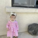 심지방코지 이미지