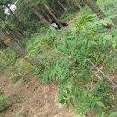 뜨락농원 이미지