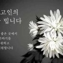 (근조) 서보건 재경동기 모친상(11/3) 이미지