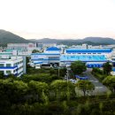디와이(DY)
