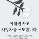 패퍼링크 이미지