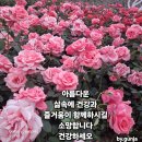 인사말 이미지모음 이미지