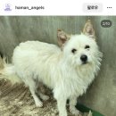 댕동댕 유치원 이미지